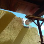 IMG-20221201-WA0239